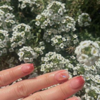 Timi Nails Studio - Nail Salons Near Me - Westminster, California