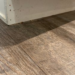 The Pointe at Five Oaks - Move in photos after they had it "professionally cleaned" and refused to call in another company to clean it.