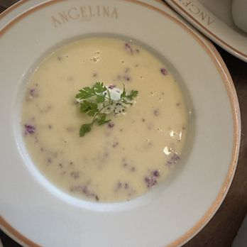 Angelina - Crème Dubarry or Creamy Cauliflower soup. I could eat 2 bowls of this for myself! Yummy! - Breakfast & Brunch Near Me - Paris, 75 Angelina - Crème Dubarry or Creamy Cauliflower soup. I could eat 2 bowls of this for myself! Yummy! - Breakfast & Brunch Near Me - Paris, 75