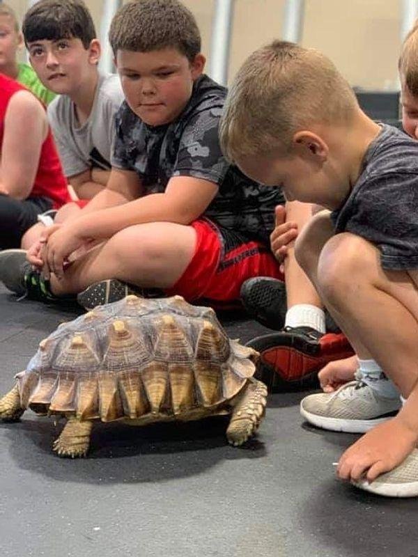 ANA Critters - social services organization in Moscow, PA