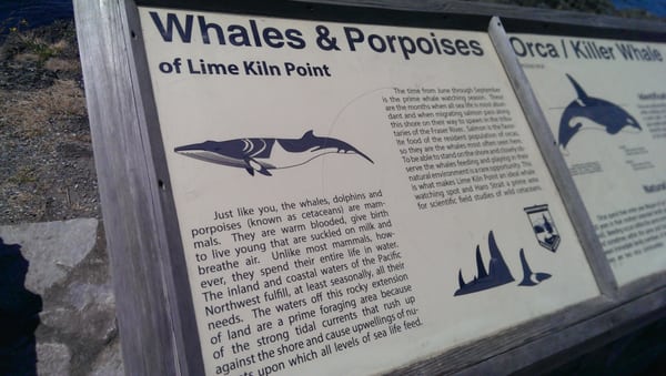 Lime Kiln Point State Park by null