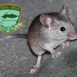 Redding Spray Service