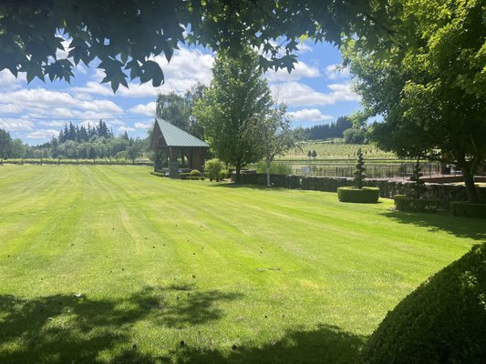 Bethany Vineyard & Winery by null