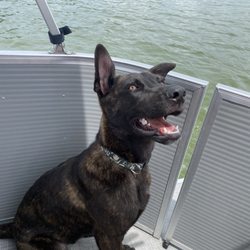 Grand Haven Boat Rental