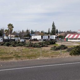 12-23-17 Bambi's Christmas Tree Land. Price gouging customers ($79 to $750). What a waste!