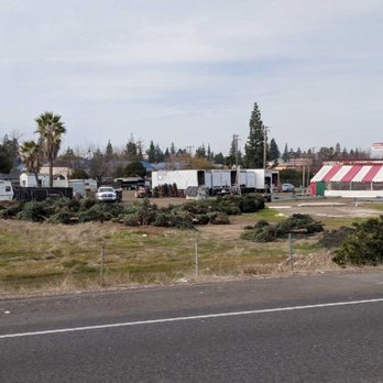 Bambi's Christmas Tree Land - 12-23-17 Bambi's Christmas Tree Land. Price gouging customers ($79 to $750). What a waste! - Nurseries & Gardening Near Me - Roseville, California