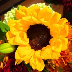 ALDI - The sun brilliance brings hope and happiness.