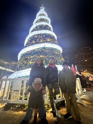 Cincinnati Lager House by null