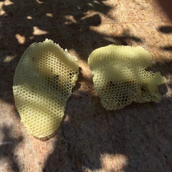 We Save Bees - Pest Control Near Me - Lake Forest, California We Save Bees - Pest Control Near Me - Lake Forest, California