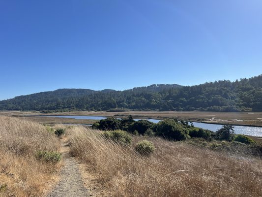 Tomales Bay Trailhead by null