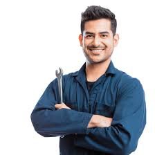 Lucky Lads - tree service in Peoria, IL