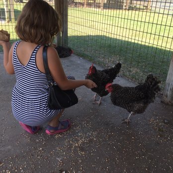 Old MacDonald's Farm - Venues & Event Spaces Near Me - Humble, Texas Old MacDonald's Farm - Venues & Event Spaces Near Me - Humble, Texas