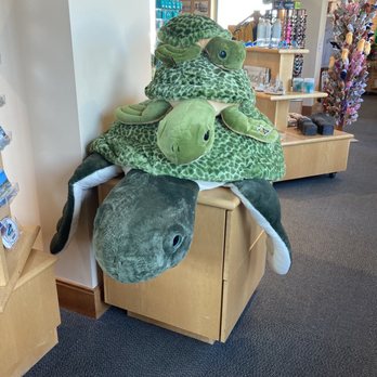 Cape May Lewes Ferry - A stack of fun sea turtles at the Cape May terminal gift shop - Ferries Near Me - North Cape May, New Jersey Cape May Lewes Ferry - A stack of fun sea turtles at the Cape May terminal gift shop - Ferries Near Me - North Cape May, New Jersey