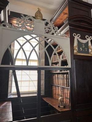 Marsh’s Library by null