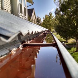 Honest Window & Carpet Cleaning - Clogged Gutters