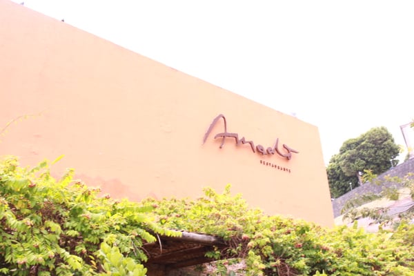Amado by null