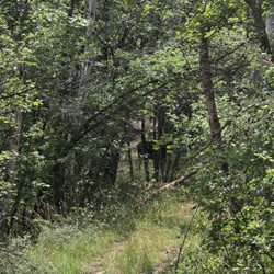Z Cross Ranch