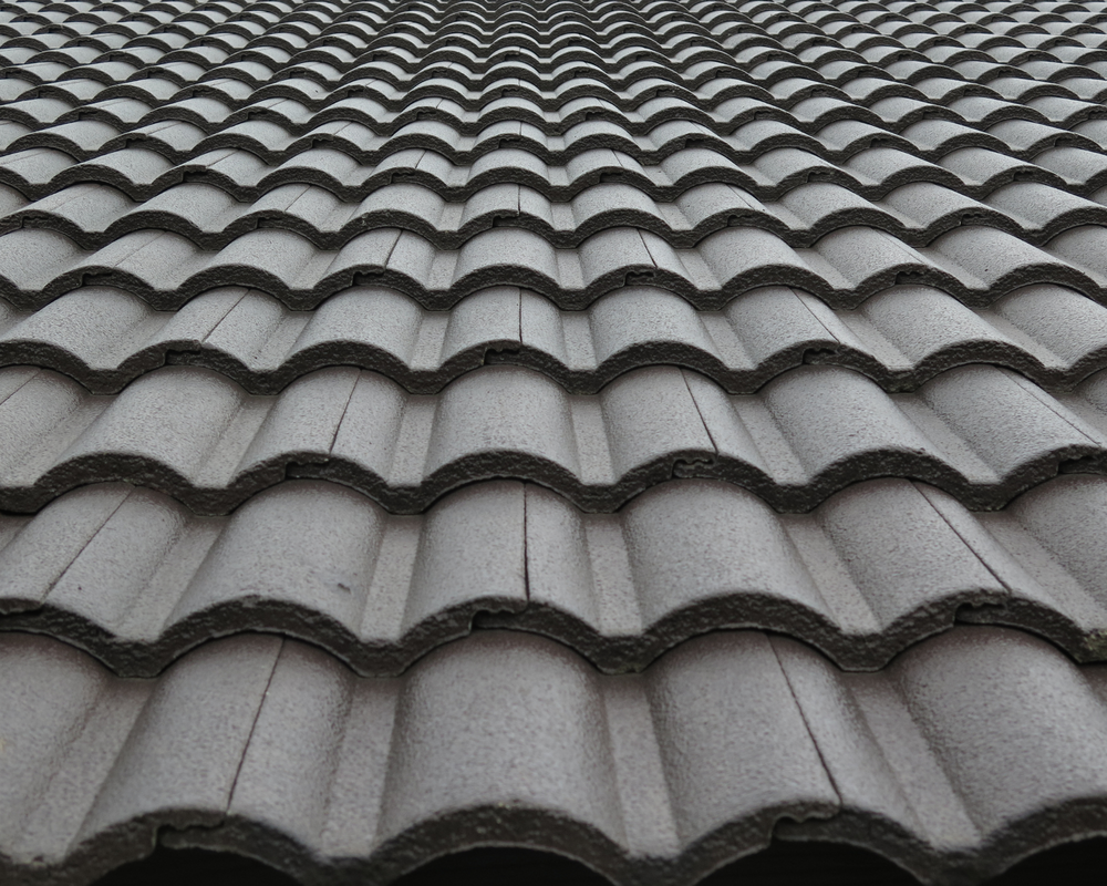 Slide of Wiener Dog Roofing