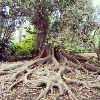 Jardim Botânico Tropical - Botanical Gardens Near Me - Lisbon, 11