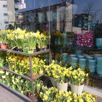 Flower republic - Florists Near Me - Stockholm, Alberta Flower republic - Florists Near Me - Stockholm, Alberta