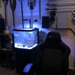 Tidy Tanks Aquarium - NANO MAN Cave