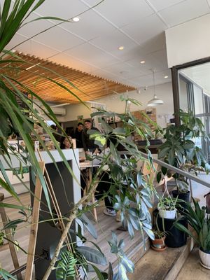 Rustle & Still Café by null