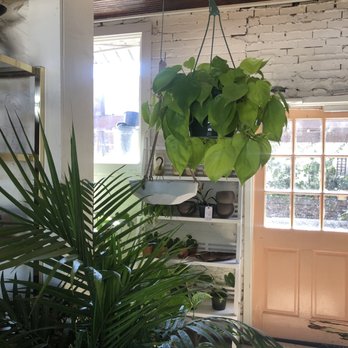 Fancy Free Nursery - Nurseries & Gardening Near Me - Tampa, Florida Fancy Free Nursery - Nurseries & Gardening Near Me - Tampa, Florida