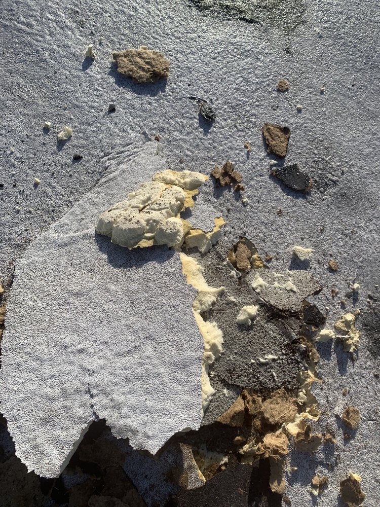 Slide of Next Level Roof Maintenance