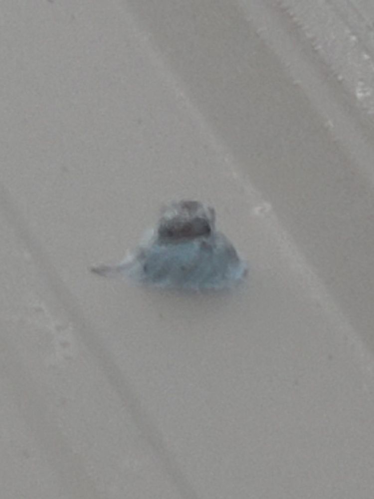 Slide of Lewis Walker Roofing