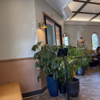 Ben Tre - Inside the lobby, waiting area - Vietnamese Near Me - San Francisco, California Ben Tre - Inside the lobby, waiting area - Vietnamese Near Me - San Francisco, California
