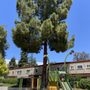Photo of Bracher Park