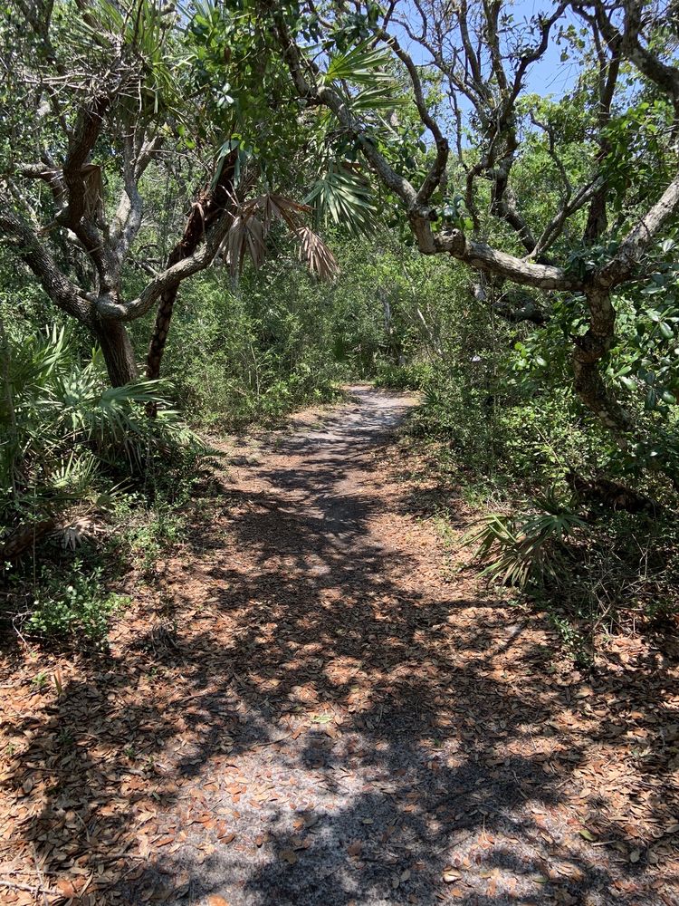 Gamble Rogers Memorial State Recreation Area Image