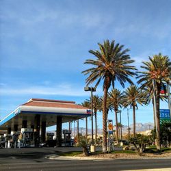 Chevron