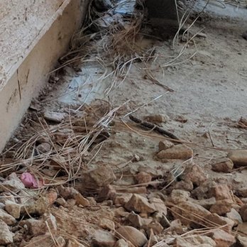 The Allison - Not in 10 months has the area in front of my door been cleaned up, - Apartments Near Me - Scottsdale, Arizona The Allison - Not in 10 months has the area in front of my door been cleaned up, - Apartments Near Me - Scottsdale, Arizona