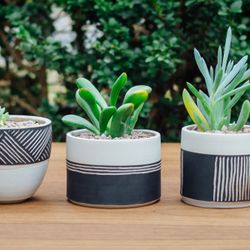 Cherrywood Art Fair - HB Ceramcs - 2018 Cherrywood Art Fair Artist