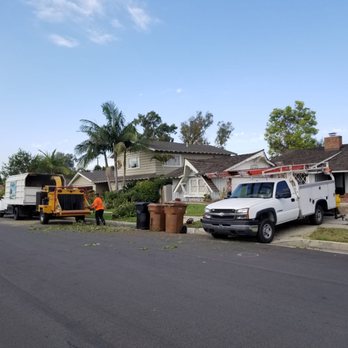 Bernabe Tree Service - Tree Services Near Me - Riverside, California