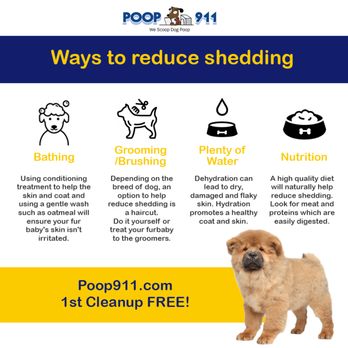 POOP 911 - Pet Waste Removal Near Me POOP 911 - Pet Waste Removal Near Me