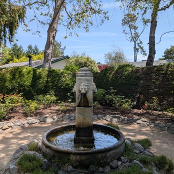 Cambria Pines Lodge - Hotels Near Me - Cambria, California Cambria Pines Lodge - Hotels Near Me - Cambria, California