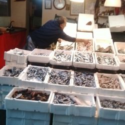 Efe Balıkçılık Hasan'in Yeri - FRESH FISHES