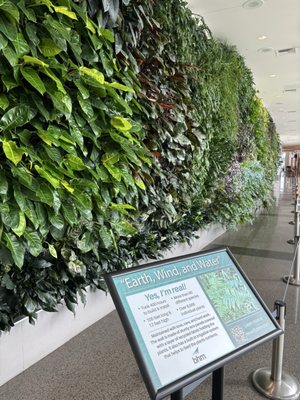Birmingham-Shuttlesworth International Airport by null