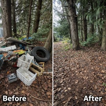 Sloth Junk Removal - Junk Removal & Hauling Near Me Sloth Junk Removal - Junk Removal & Hauling Near Me