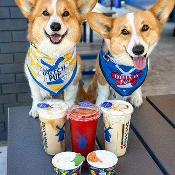 Dutch Bros Coffee - Dutch Run - Juice Bars & Smoothies Near Me - Timnath, Colorado Dutch Bros Coffee - Dutch Run - Juice Bars & Smoothies Near Me - Timnath, Colorado