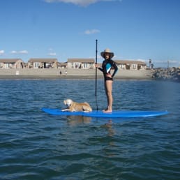 Great rental! We picked up the biggest board to rent and it was perfect! Even the golden had a great time! Great rental! We picked up the biggest board to rent and it was perfect! Even the golden had a great time!