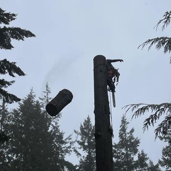 Warrick Brothers Tree Service - Tree Services Near Me Warrick Brothers Tree Service - Tree Services Near Me