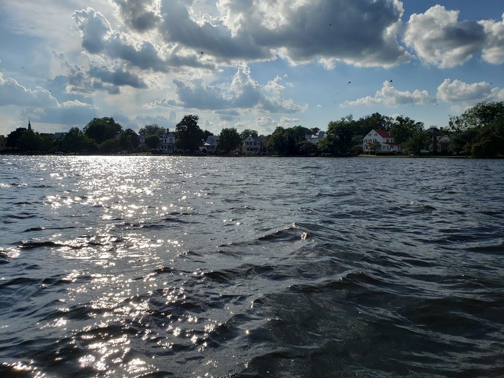 Dragonfly Boat Tours