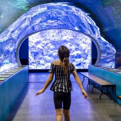 OdySea Aquarium