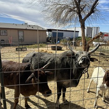 Superstition Farm - Farmers Market Near Me - Mesa, Arizona