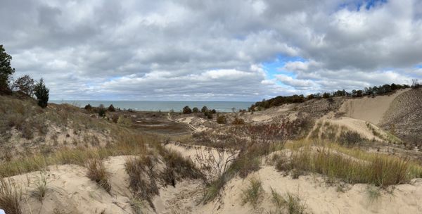 Warren Dunes State Park by null