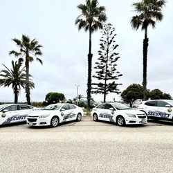 Medallion Protective Services