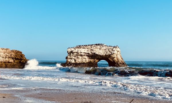 Natural Bridges State Beach by null